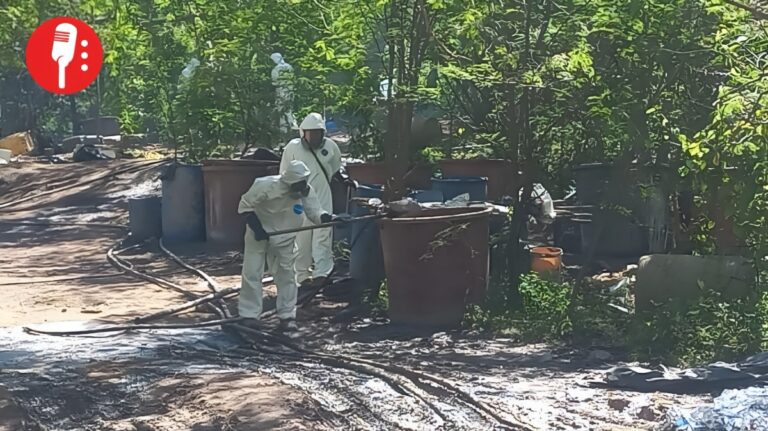 Secretaría de Marina desmantela narcolaboratorios en Durango