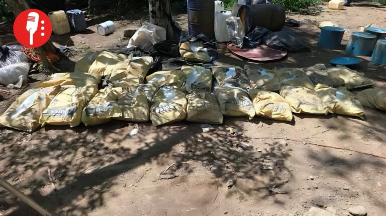SEMAR desmantela laboratorios de metanfetamina en Durango