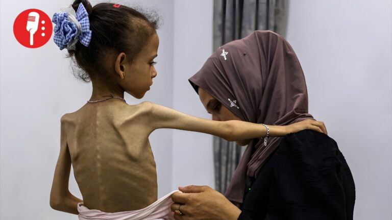 Siete palestinos mueren de hambre en Gaza por ofensiva israelí