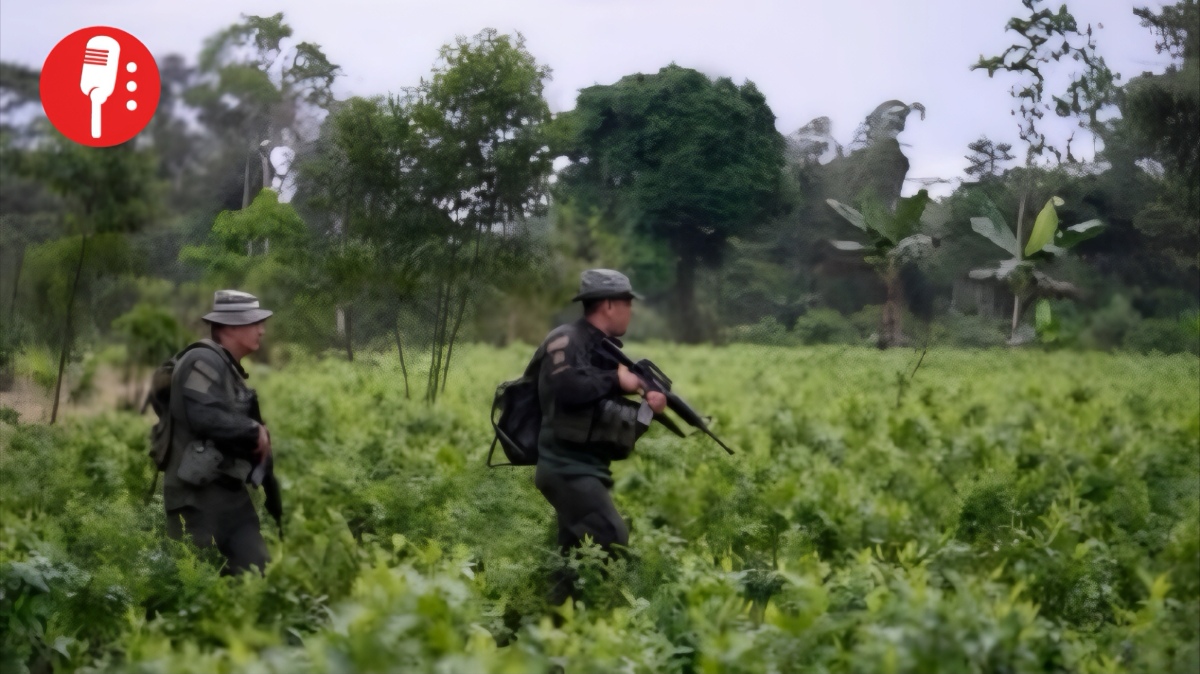 Colombia podría perder certificación antidrogas de EUA