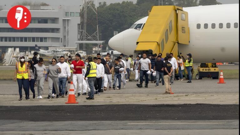 Nuevo sitio revela historial de deportaciones en EUA
