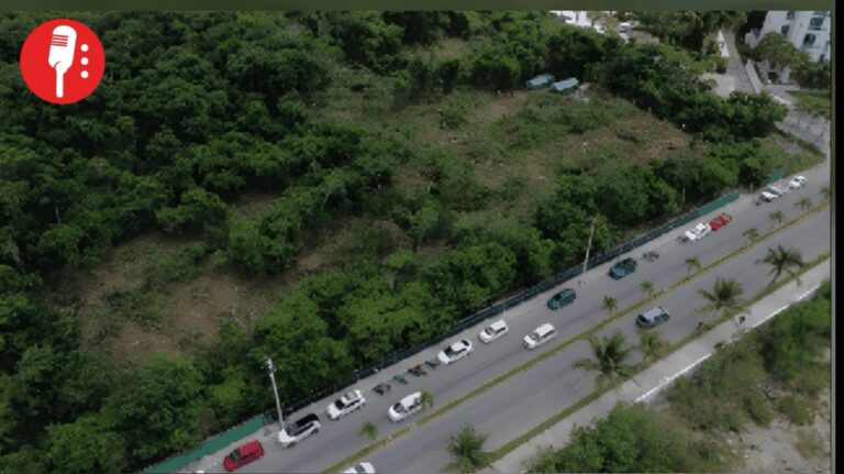 Desmontan selva virgen en Cozumel para plaza comercial