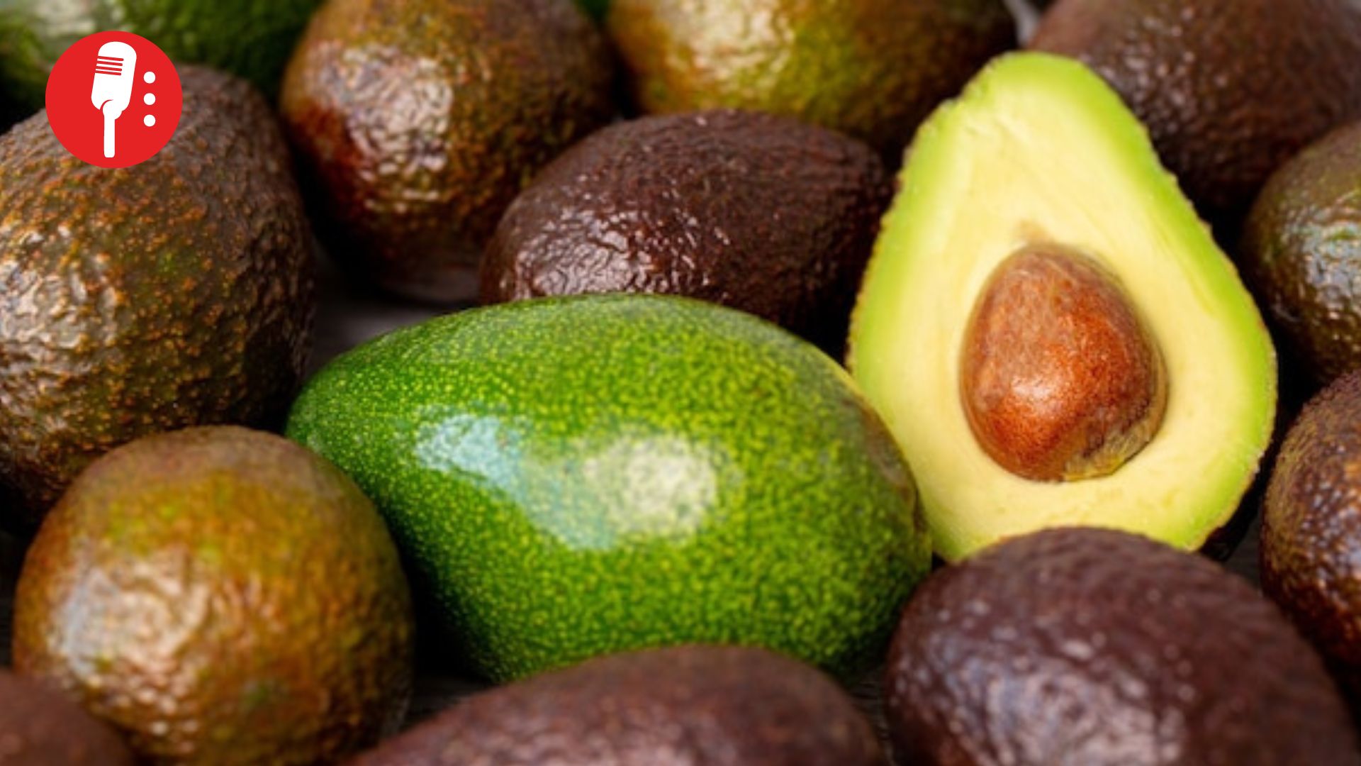 Más limpio, más fuerte: México amplía zonas libres de plagas del “oro verde”