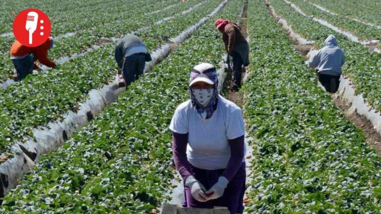 Explotación disfrazada de oportunidad: el costo humano de los programas laborales