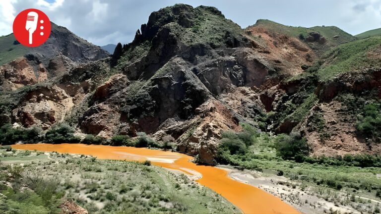Grupo México obligado a cumplir tras derrame en río Sonora: Sheinbaum