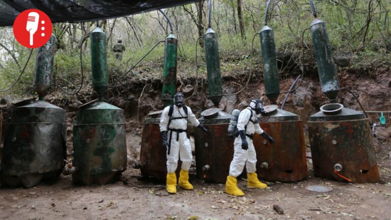 Identificadas empresas mexicanas que proveen químicos a cárteles de drogas