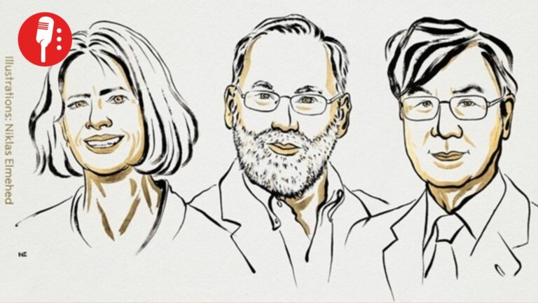 Mary Brunkow, Fred Ramsdell y Shimon Sakaguchi ganan el Nobel de Medicina 2025 por descubrir células T reguladoras