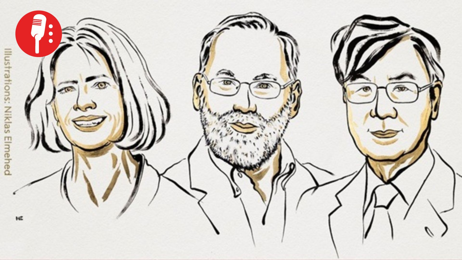 Mary Brunkow, Fred Ramsdell y Shimon Sakaguchi ganan el Nobel de Medicina 2025 por descubrir células T reguladoras