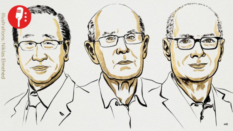 Susumu Kitagawa, Richard Robson y Omar Yaghi ganan Nobel de Quìmica 2025 por crear “arquitectura molecular”