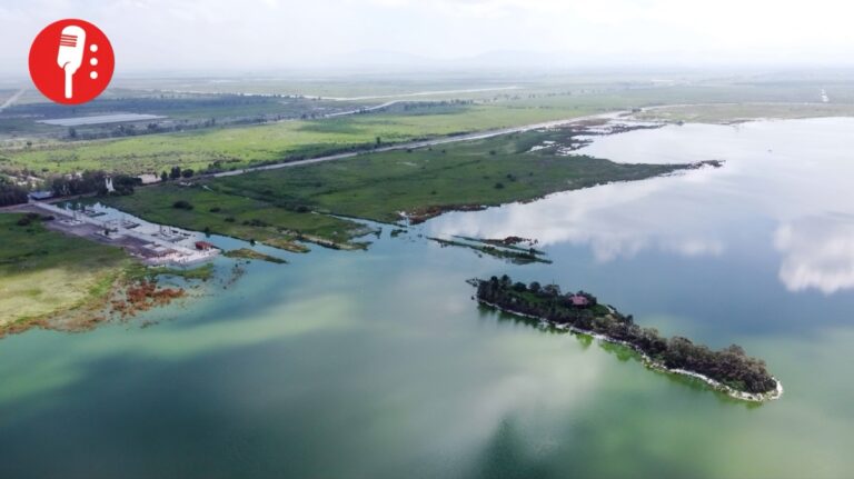 El renacer del Lago de Texcoco: el parque ecológico que cubrió los restos de un aeropuerto