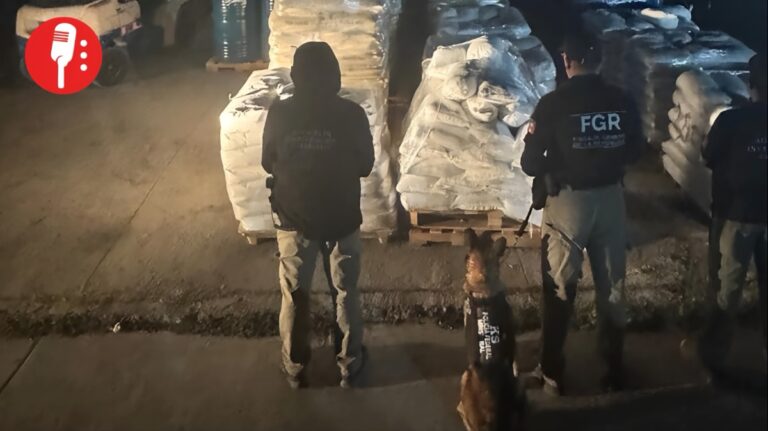 Incautan más de 13 toneladas de químicos en Durango