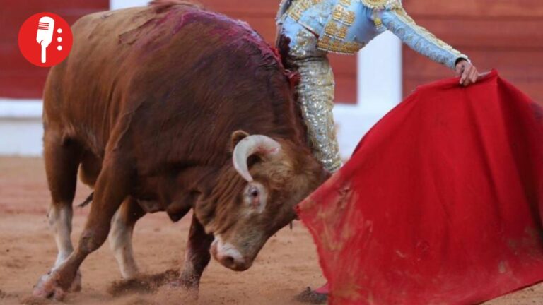 SCJN evita pronunciarse sobre corridas de toros, debate seguirá en tribunales