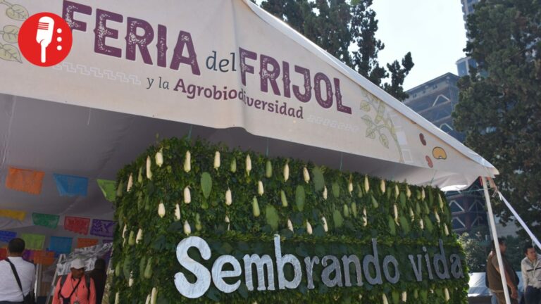 Brugada encabezó la inauguración de la Feria del Frijol