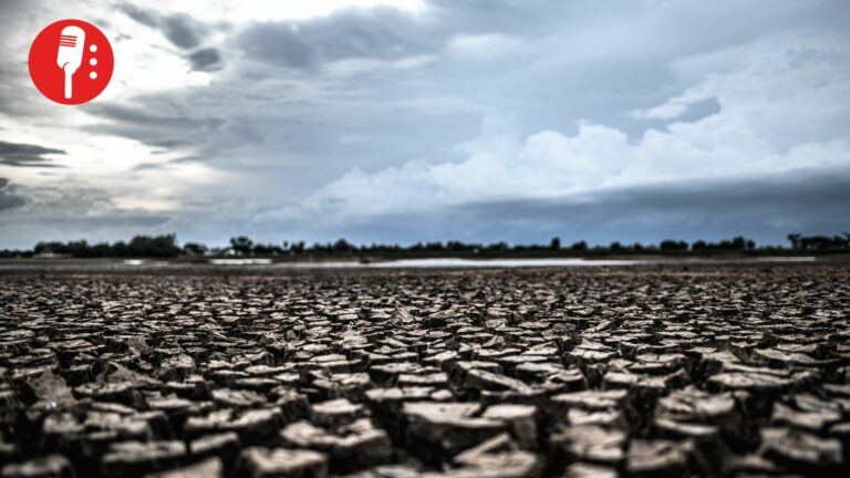 Sequía ya no es pronóstico: es una realidad inquietante