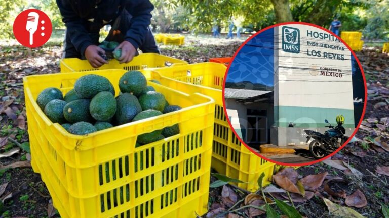 Muere productor de aguacate en Cotija tras detonación de mina