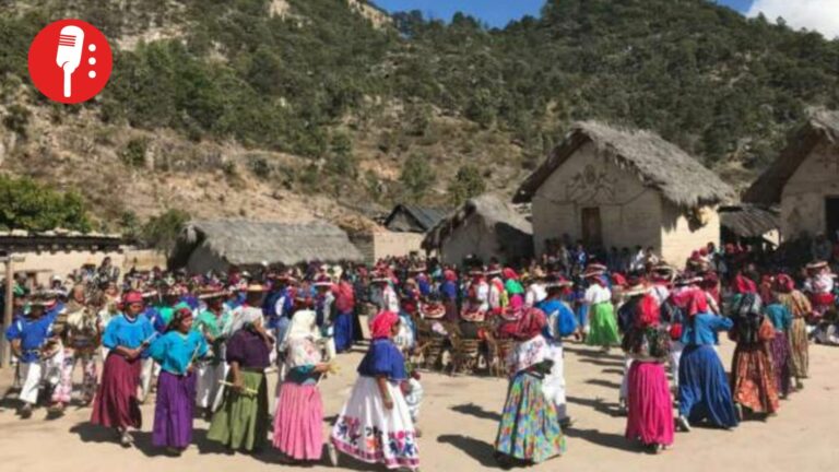 Gobierno avanza en justicia histórica: miles de hectáreas regresan a pueblos originarios