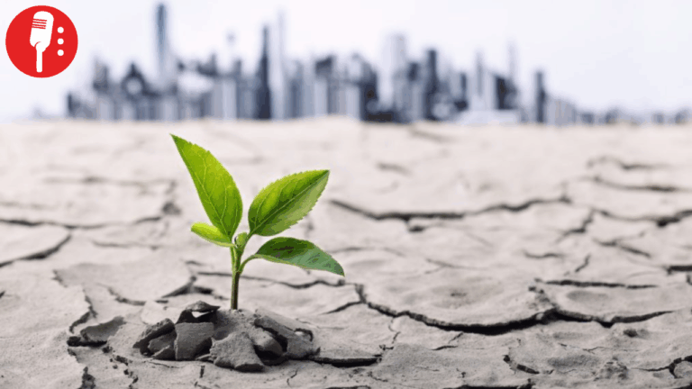 México busca justicia climática: propone fondo global para reparar daños de cambio climático