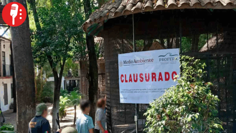 Profepa clausura Parque Temazcal Zovic por maltrato animal y rescata 41 ejemplares silvestres