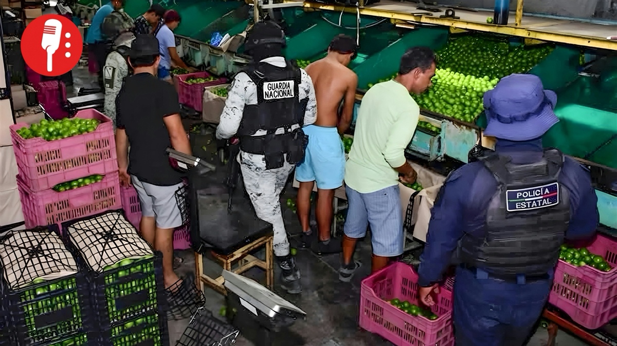 Operativo en Michoacán: combate a cárteles del narcotráfico