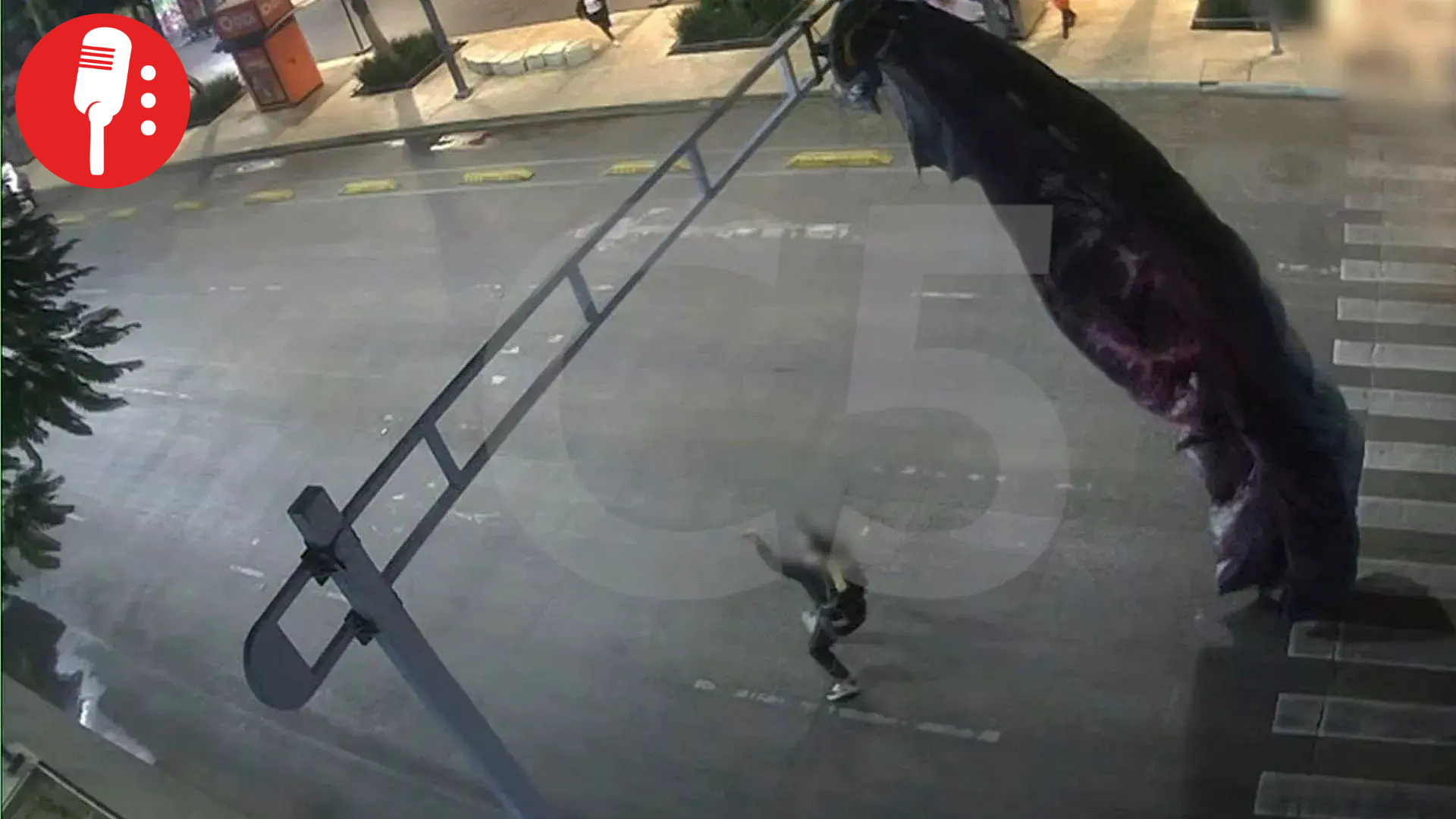 ¡No es IA! Paracaidista estadounidense queda atrapado en semáforo de CDMX