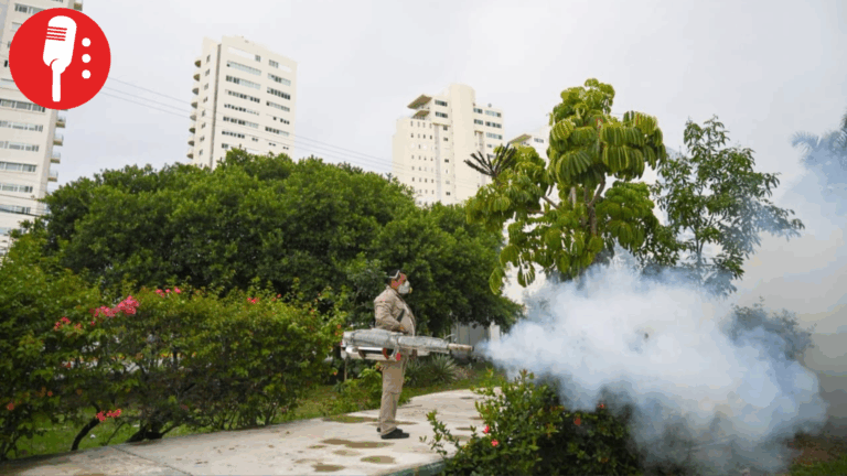 Quintana Roo contra el dengue: refuerza eliminación de criaderos y acciones preventivas