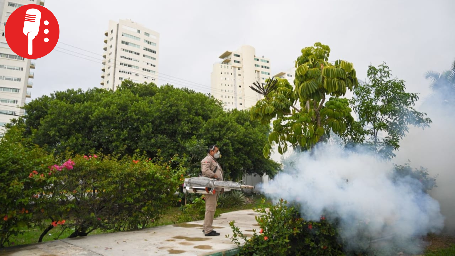 Quintana Roo contra el dengue: refuerza eliminación de criaderos y acciones preventivas
