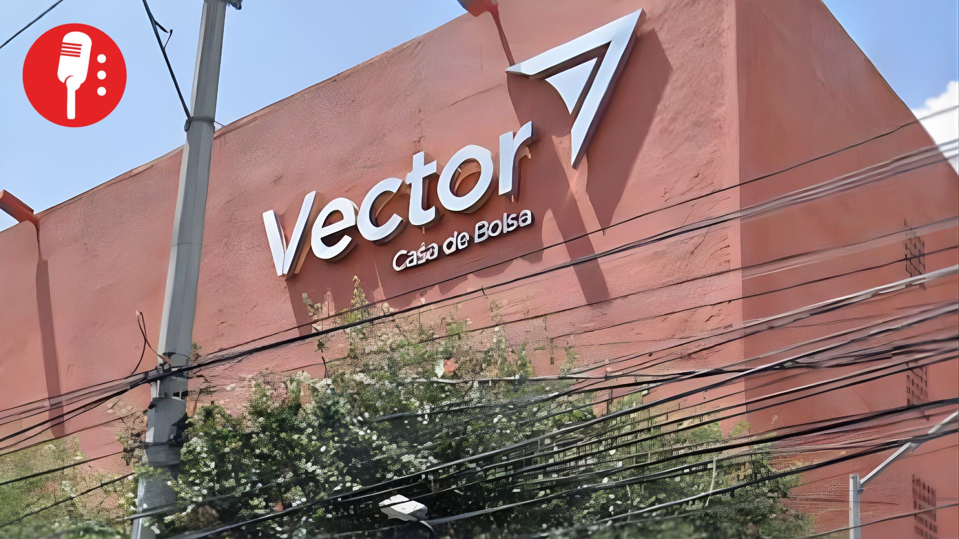CNBV retira permisos a Vector y acelera su salida del sistema financiero