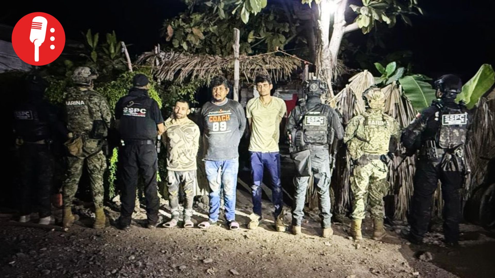 Plan Michoacán: caen extorsionadores que intimidaban a productores de limón en Apatzingán