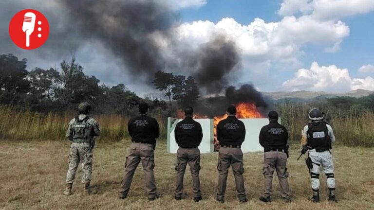 Incineran en Chiapas casi 100 kilos de drogas aseguradas en operativos federales