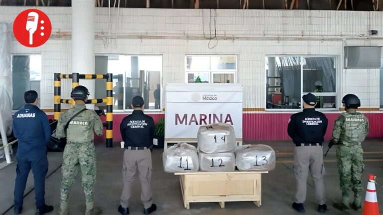 Autoridades decomisan 100 Kilos de planta psicotrópica en Veracruz