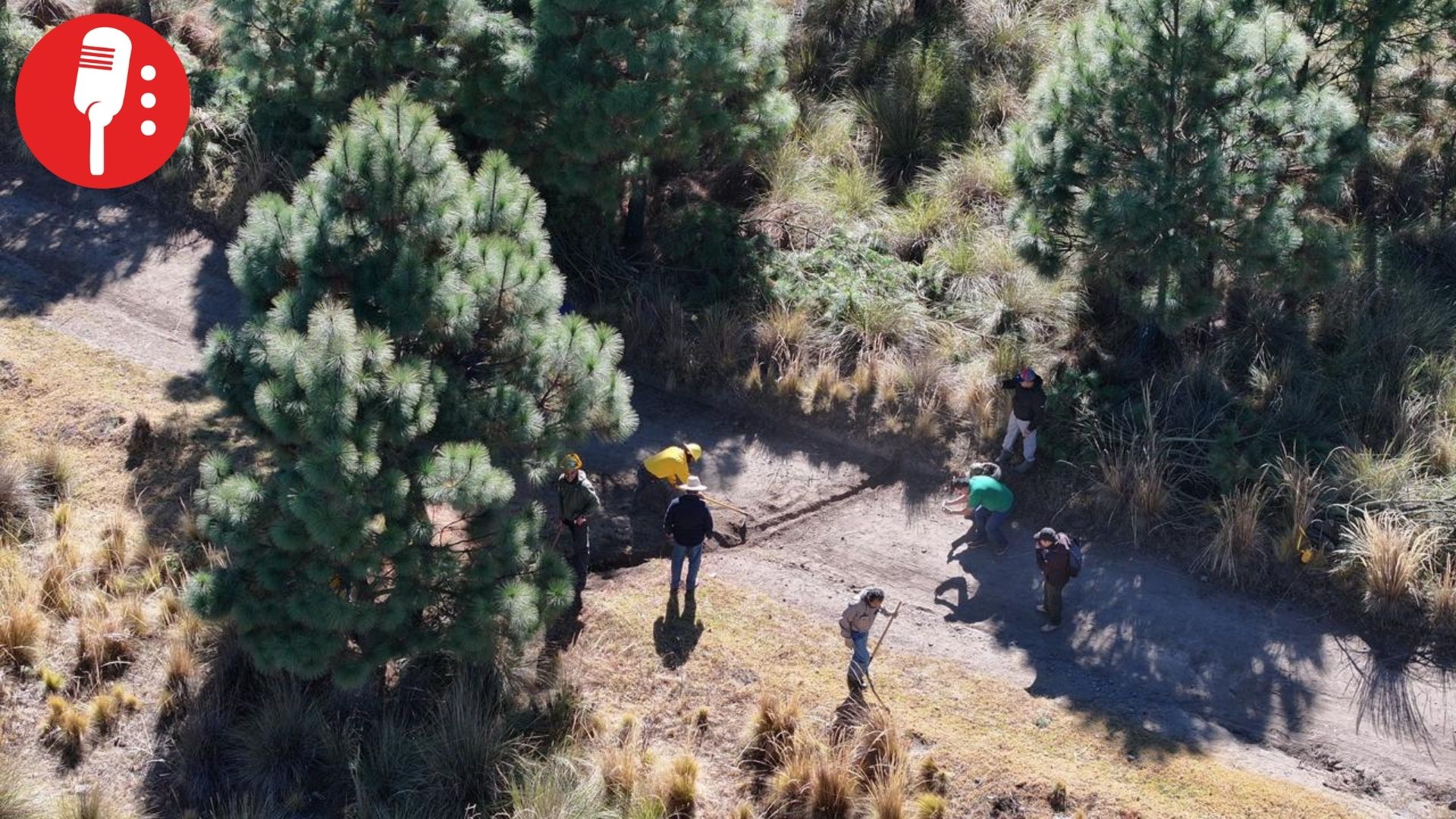 Gobierno de Toluca impulsa acciones de protección forestal ante incendios