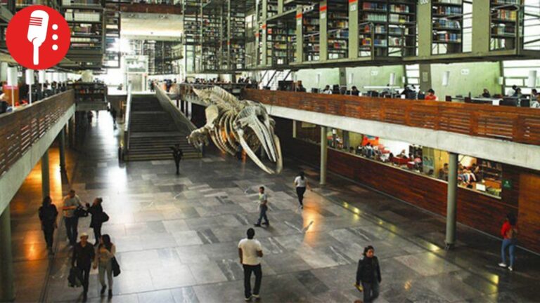 Trabajadores de la Biblioteca Vasconcelos denuncian despidos injustificados tras casi 20 años de servicio