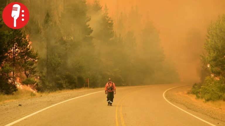 Incendios forestales arrasan la Patagonia argentina y exponen una crisis ambiental y política sin precedentes