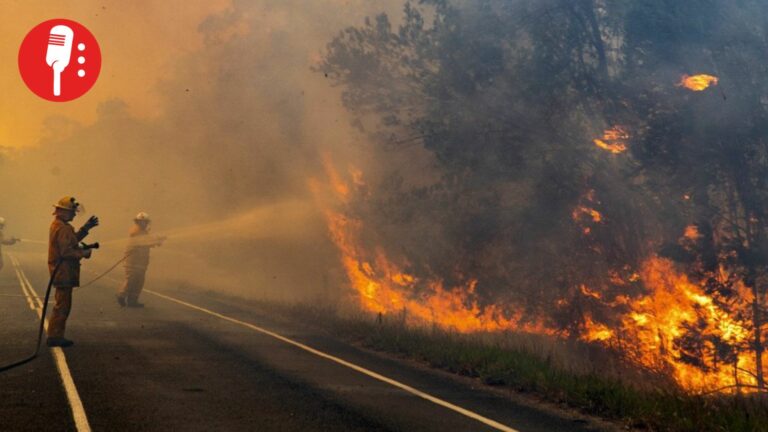 Australia declara estado de desastre en Victoria por incendios forestales sin precedentes