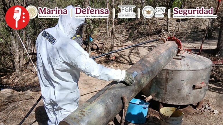 Marina y SSPC desmantelan narcolaboratorios en tres estados clave
