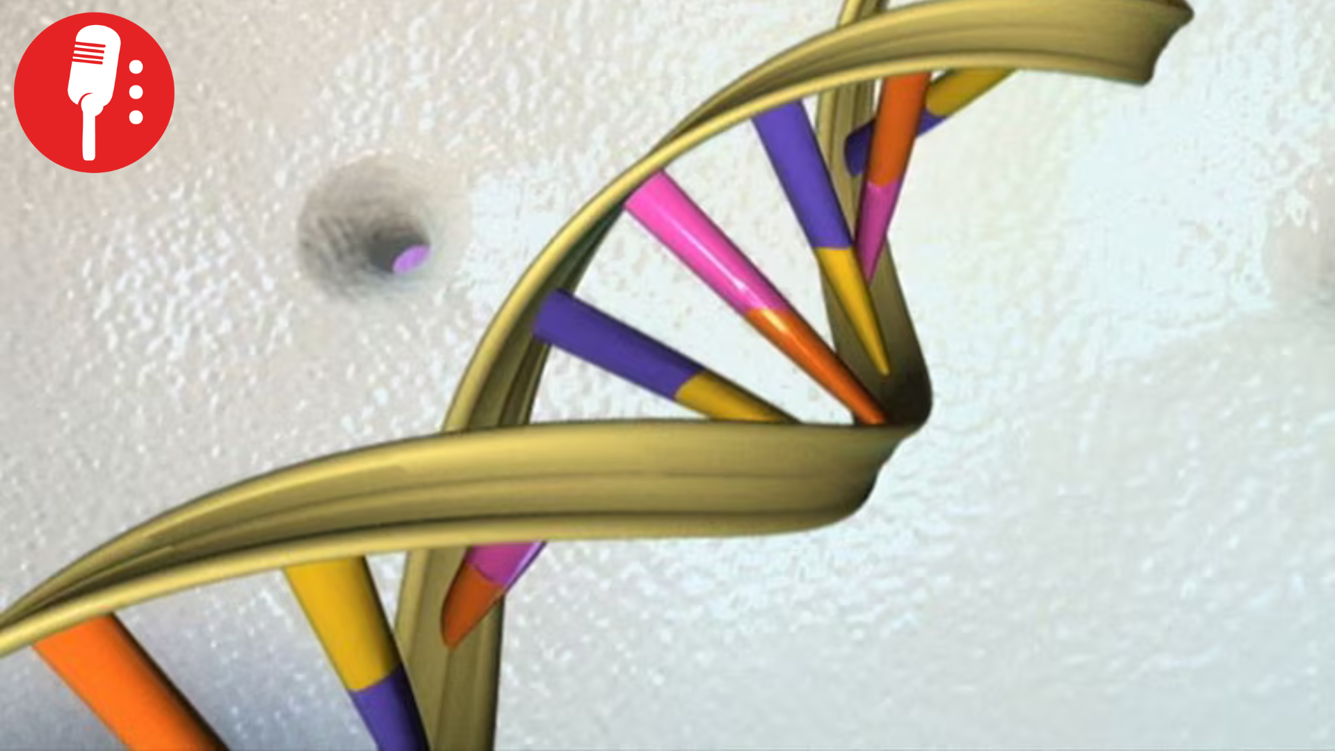 Primer mapa tridimensional de cromosomas humanos da nuevas pistas sobre enfermedades genéticas