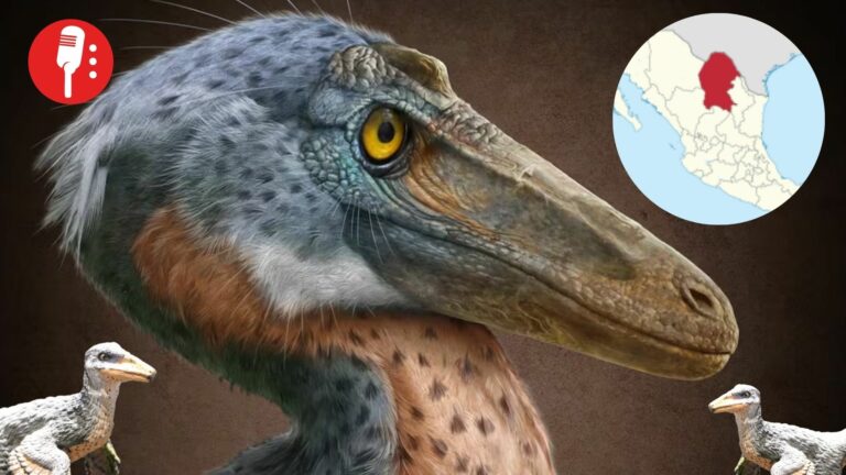 Coahuila revela al Xenovenator espinosai: el primo mexicanao del T-Rex