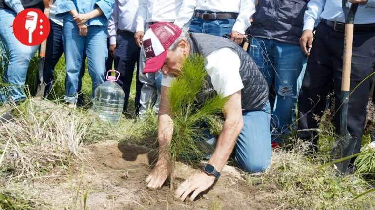Puebla se compromete a plantar 100 mil árboles para 2026