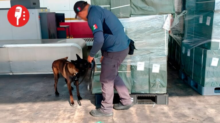 Cajetillas de cigarrillos de contrabando incautadas en México