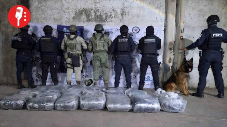 Autoridades aseguran carga millonaria en Irapuato