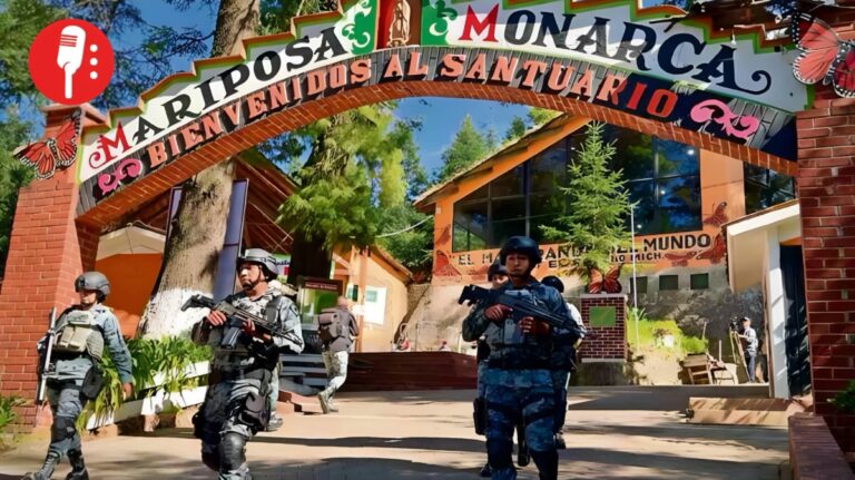 La Guardia Nacional protege el santuario de la mariposa monarca