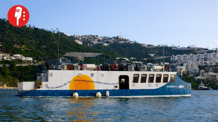 Marinabús reanuda operaciones en Acapulco