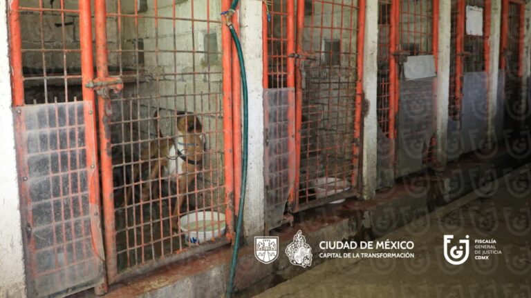 Falso avalúo y documentos fuera de contexto: así se fabricó la desinformación sobre el Refugio Franciscano