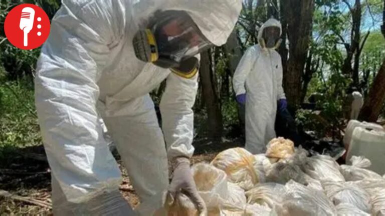 Desmantelan narcolaboratorio en Baja California