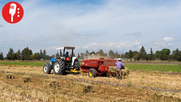 Puebla busca fortalecer al campo con innovación y equipo