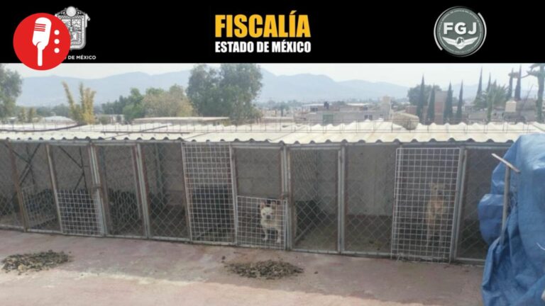 Rescatan a más de 100 animales en cateo por presunto maltrato en Tultepec
