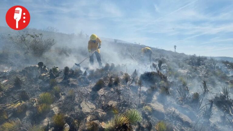 Incendios forestales en San Luis Potosí arrasan 17 mil hectáreas; hay un detenido