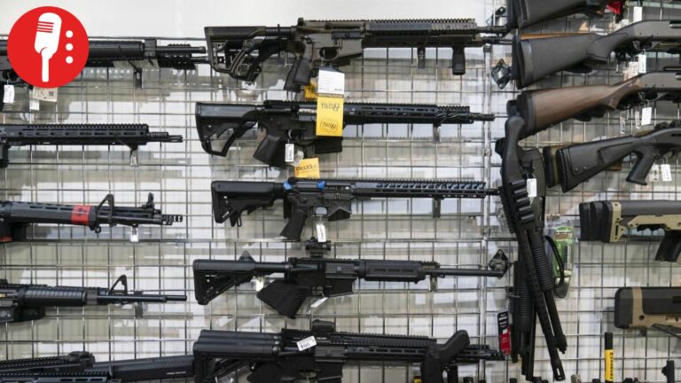 Casi 80 mil armerías en EUA alimentan tiroteos y tráfico de armas hacia México