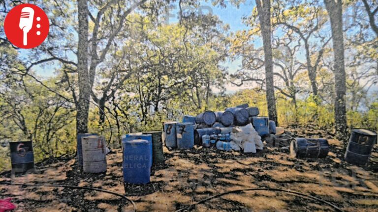 Aseguran precursores químicos de drogas en predio de Nayarit