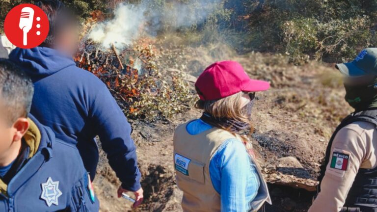 PROFEPA inhabilita seis hornos de carbón ilegal en Parque Nacional La Malinche